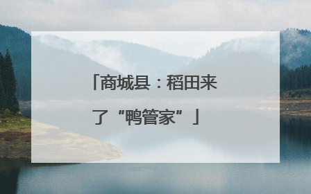 商城县：稻田来了“鸭管家”