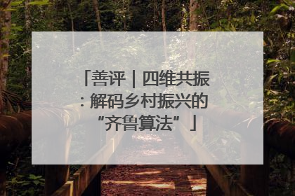善评｜四维共振：解码乡村振兴的“齐鲁算法”