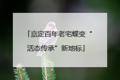 嘉定百年老宅蝶变“活态传承”新地标