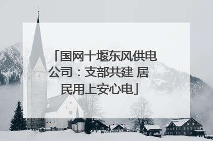国网十堰东风供电公司：支部共建 居民用上安心电