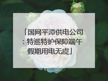 国网平潭供电公司：特巡特护保障端午假期用电无虞
