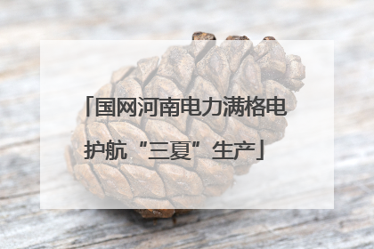 国网河南电力满格电护航“三夏”生产