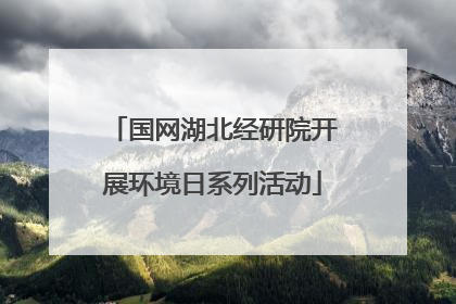 国网湖北经研院开展环境日系列活动