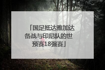 国足抵达雅加达备战与印尼队的世预赛18强赛