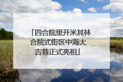 四合院里开米其林 合院式街区中海大吉巷正式亮相