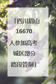 四川眉山16670人参加高考 城区部分路段管制