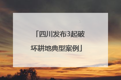 四川发布3起破坏耕地典型案例