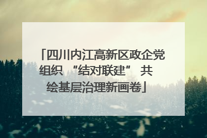 四川内江高新区政企党组织 “结对联建” 共绘基层治理新画卷