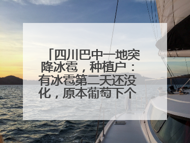 四川巴中一地突降冰雹，种植户：有冰雹第二天还没化，原本葡萄下个月上市，现在全被打落