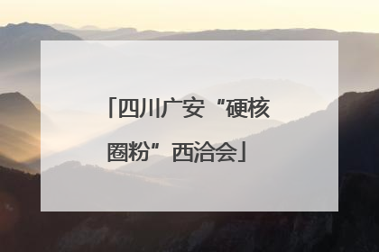 四川广安“硬核圈粉”西洽会