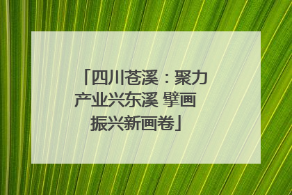 四川苍溪：聚力产业兴东溪 擘画振兴新画卷