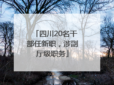 四川20名干部任新职，涉副厅级职务
