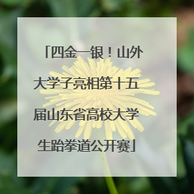 四金一银！山外大学子亮相第十五届山东省高校大学生跆拳道公开赛