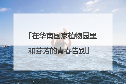 在华南国家植物园里和芬芳的青春告别