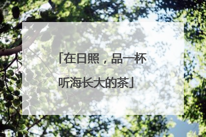 在日照，品一杯听海长大的茶