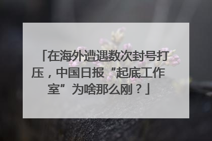 在海外遭遇数次封号打压，中国日报“起底工作室”为啥那么刚？