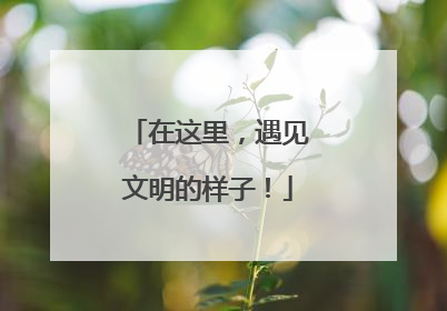 在这里，遇见文明的样子！