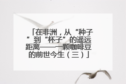 在非洲，从“种子”到“杯子”的遥远距离——一颗咖啡豆的前世今生（三）