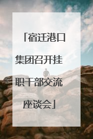 宿迁港口集团召开挂职干部交流座谈会