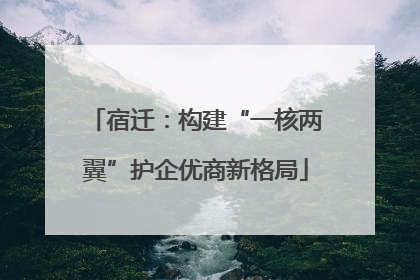 宿迁：构建“一核两翼”护企优商新格局