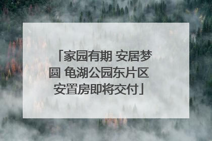 家园有期 安居梦圆 龟湖公园东片区安置房即将交付