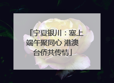 宁夏银川：塞上端午聚同心 港澳台侨共传情