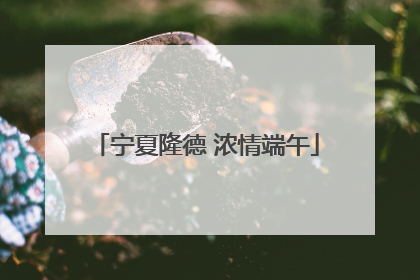宁夏隆德 浓情端午
