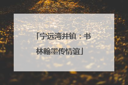 宁远湾井镇：书林翰墨传情谊