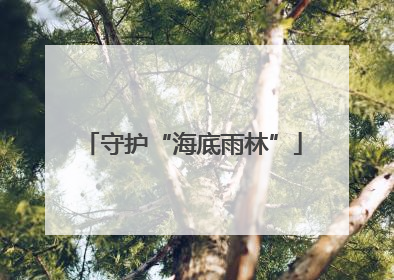 守护“海底雨林”