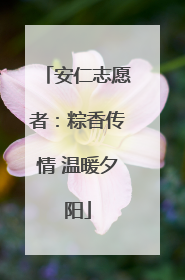 安仁志愿者：粽香传情 温暖夕阳