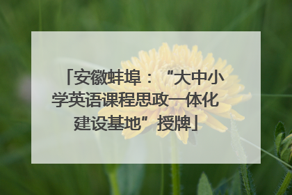安徽蚌埠：“大中小学英语课程思政一体化建设基地”授牌