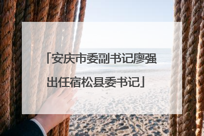 安庆市委副书记廖强出任宿松县委书记