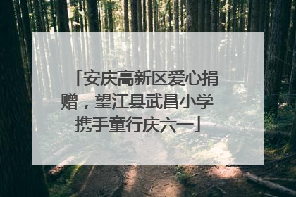 安庆高新区爱心捐赠，望江县武昌小学携手童行庆六一