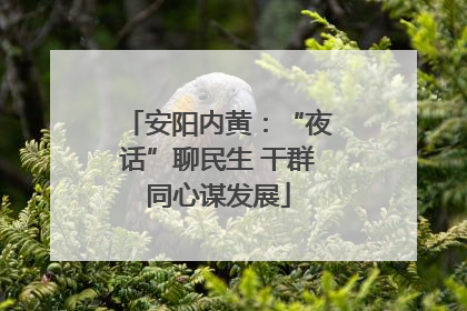 安阳内黄：“夜话”聊民生 干群同心谋发展