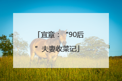 宜章：“90后”夫妻收菜记