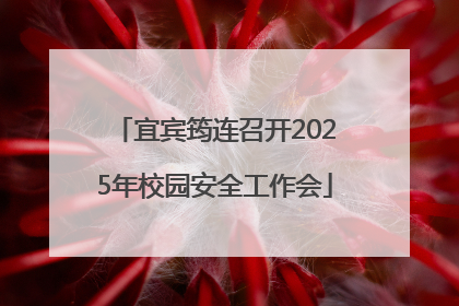 宜宾筠连召开2025年校园安全工作会