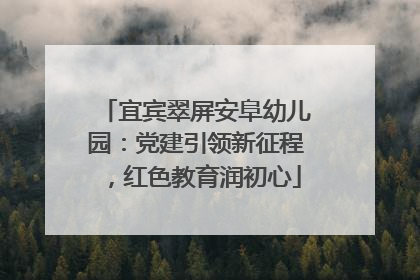 宜宾翠屏安阜幼儿园：党建引领新征程，红色教育润初心