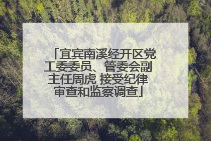 宜宾南溪经开区党工委委员、管委会副主任周虎 接受纪律审查和监察调查