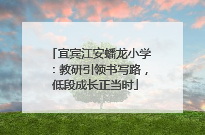 宜宾江安蟠龙小学：教研引领书写路，低段成长正当时