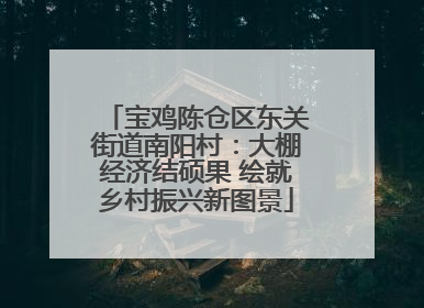 宝鸡陈仓区东关街道南阳村：大棚经济结硕果 绘就乡村振兴新图景