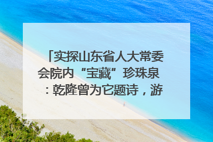 实探山东省人大常委会院内“宝藏”珍珠泉：乾隆曾为它题诗，游客无需预约免费游览
