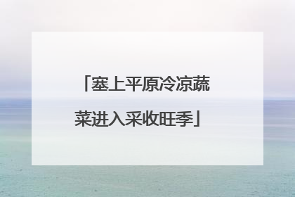 塞上平原冷凉蔬菜进入采收旺季
