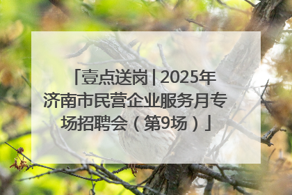 壹点送岗│2025年济南市民营企业服务月专场招聘会（第9场）