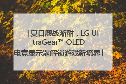 夏日鏖战渐酣，LG UltraGear™ OLED电竞显示器解锁游戏新境界