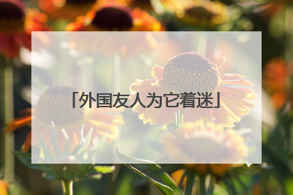 外国友人为它着迷