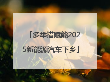 多举措赋能2025新能源汽车下乡