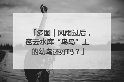 多图｜风雨过后，密云水库“鸟岛”上的幼鸟还好吗？
