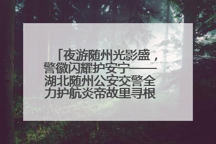 夜游随州光影盛，警徽闪耀护安宁——湖北随州公安交警全力护航炎帝故里寻根节夜游活动侧记