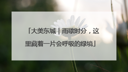 大美东城｜雨歇时分，这里藏着一片会呼吸的绿境