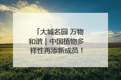 大城名园 万物和谐｜中国植物多样性再添新成员！它只在西藏墨脱